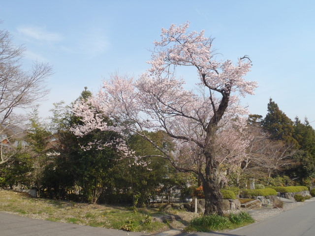 135.JPG 135.JPG