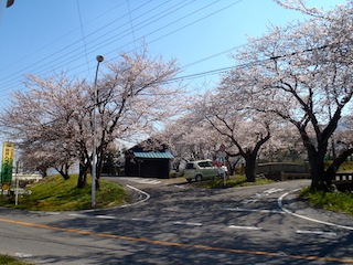 P4060176.JPG