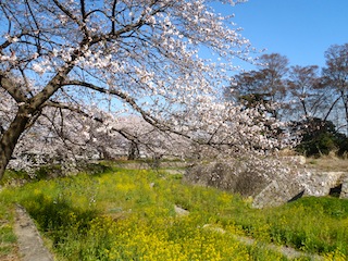 P4060177.JPG
