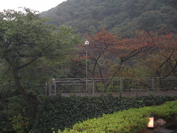 秋色.jpg 秋色.jpg