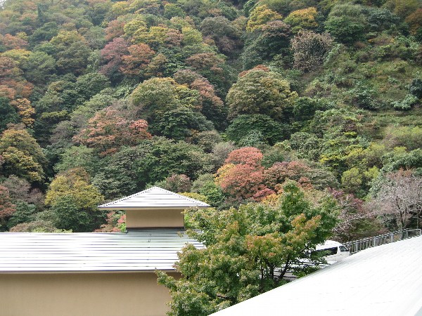 IMG_0607.JPG IMG_0607.JPG