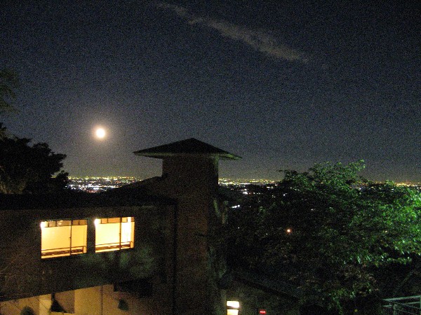 IMG_0709.JPG IMG_0709.JPG