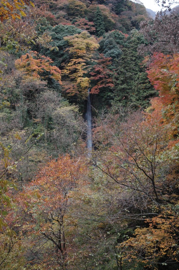 DSC_0041.JPG