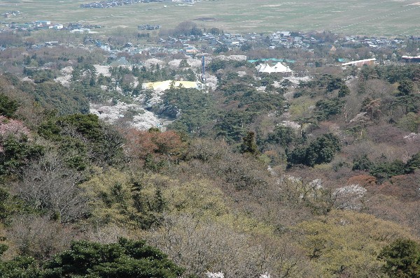 DSC_0334.JPG DSC_0334.JPG