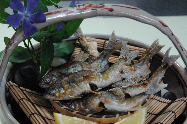 歯形の鮎.jpg 歯形の鮎.jpg