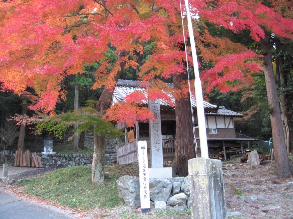 養老公園の秋もみじ10.jpg 養老公園の秋もみじ10.jpg