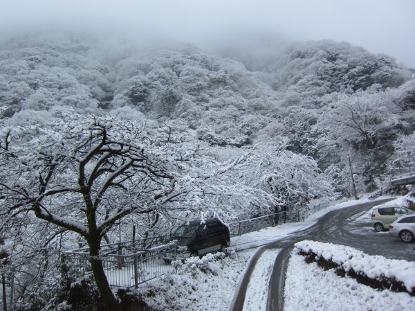 初雪10年暮.jpg 初雪10年暮.jpg
