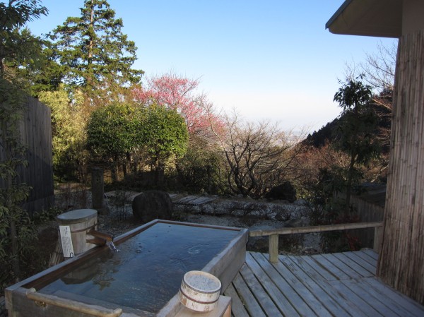 紅梅2011.jpg 紅梅2011.jpg