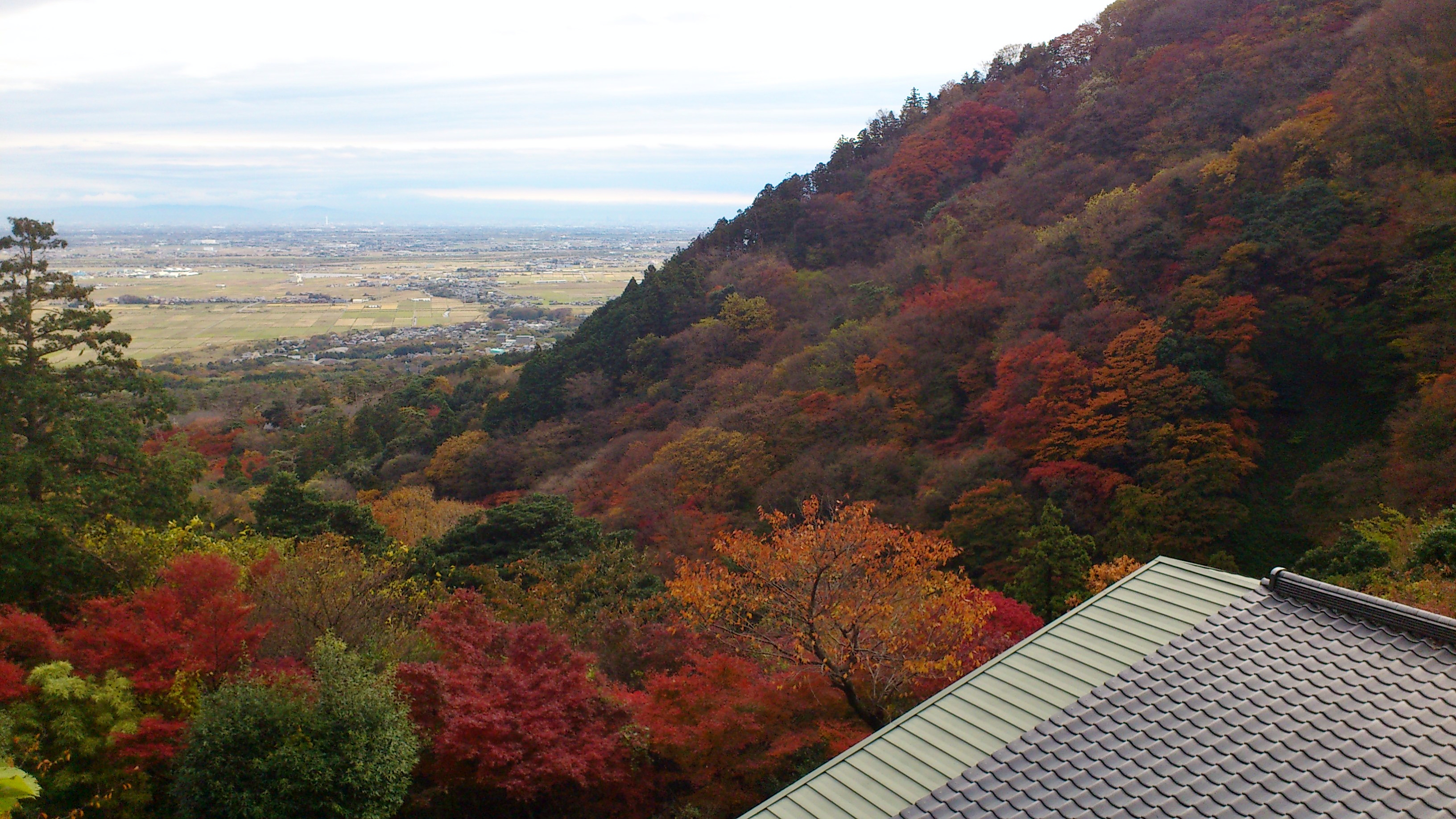 養老周辺の紅葉