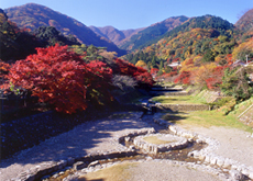 養老公園